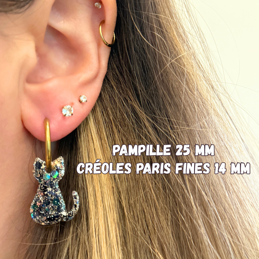 Pampilles chat